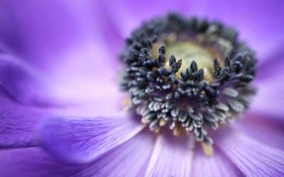 Wellbeing and physical activity when WFH